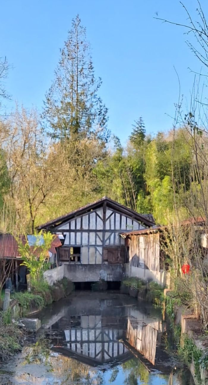 Portes ouvertes du Moulin de Mimbaste, Moulin de Mimbaste, Mimbaste
