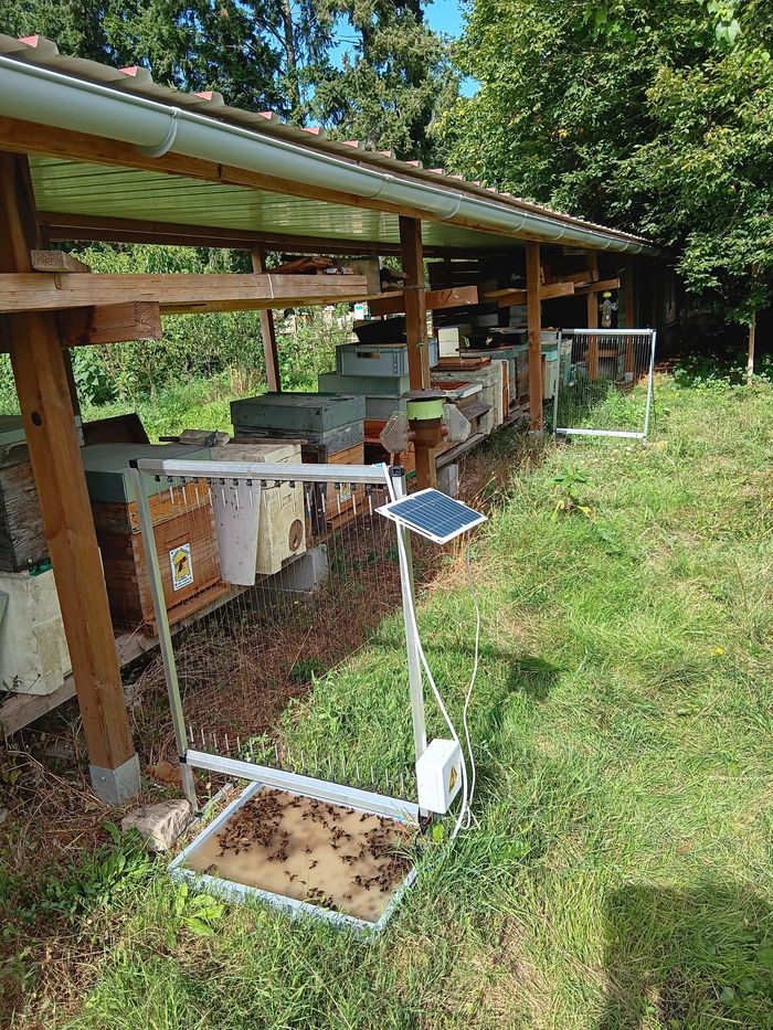 Portes ouvertes, Maison des Abeilles, Olivet