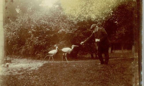 Portraits de famille – les photographies, Musée national Jean-Jacques Henner, Paris