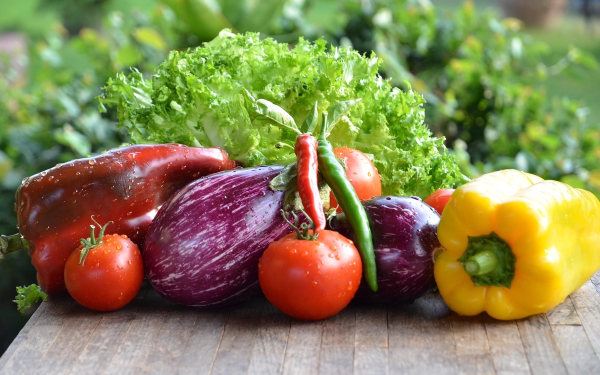 Pourquoi végétaliser son alimentation ? Bibliothèque publique d’information Paris