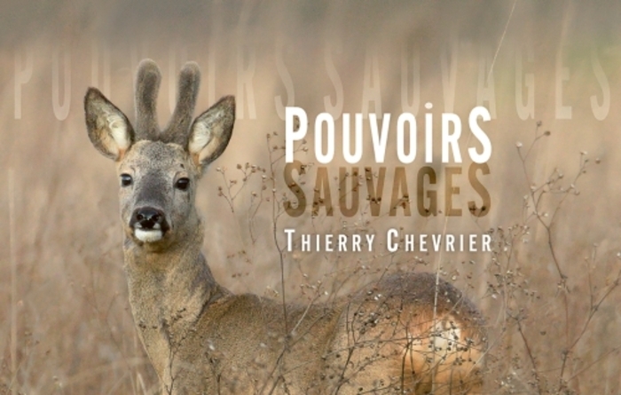 Pouvoirs sauvages, exposition photographique de Thierry Chevrier, Château de Bouthéon, Andrézieux-Bouthéon
