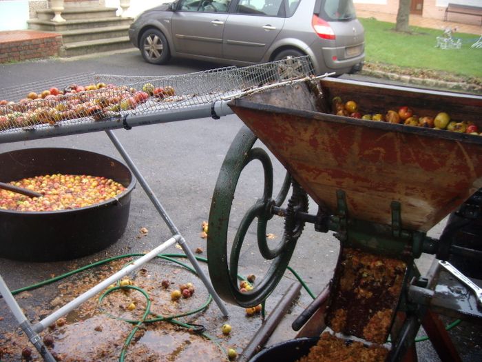 Pressurage de pommes pour faire le cidre, Ferme écomusée – Souastre, Souastre