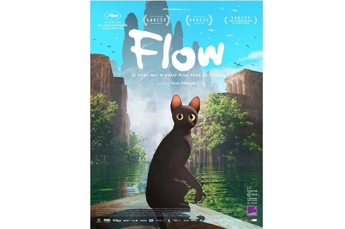 Projection-débat du film Flow, Cinéma de Langeais, Langeais