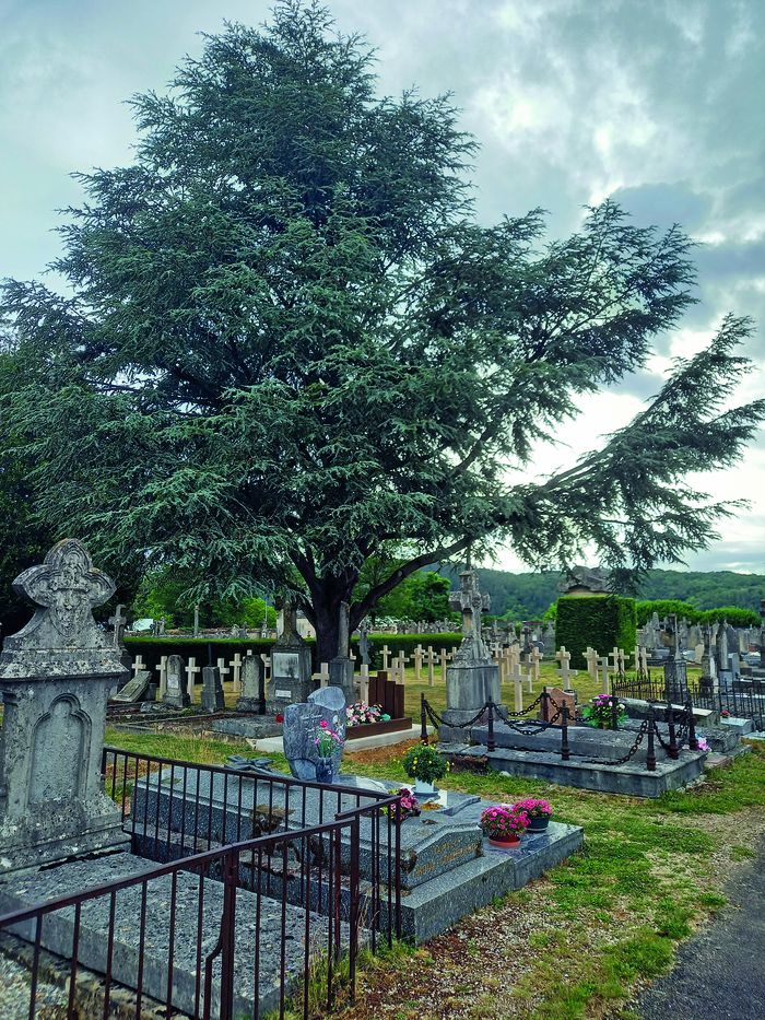 Promenade commentée, Cimetière de Clamecy, Clamecy