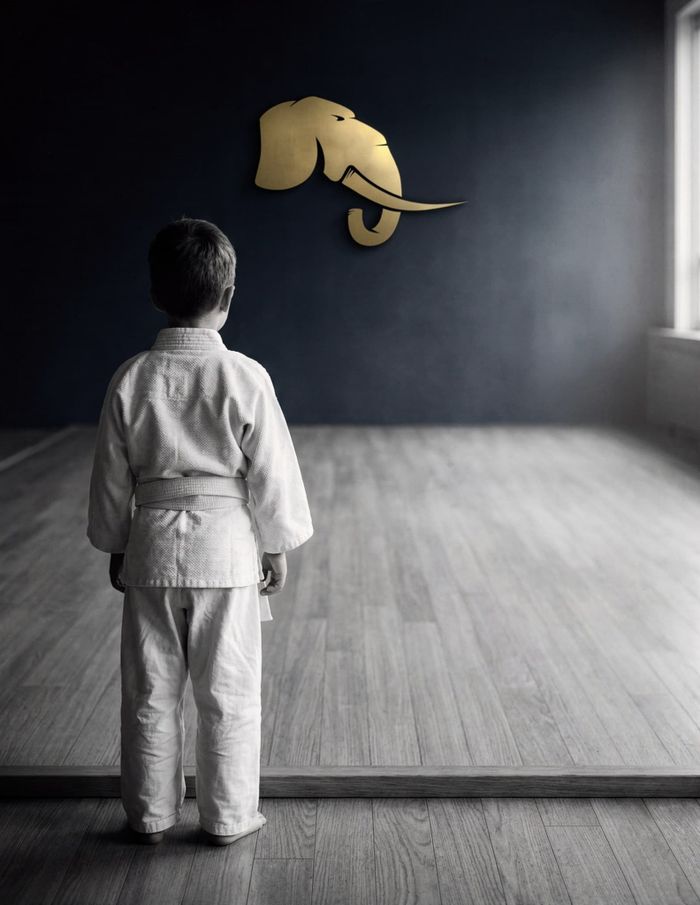 Promotion 2021 : Ouverture de la Liste d&rsquo;Attente Prioritaire Éveil Judo & JJB (5 ans) – Jamet Sporting Club Bellevue, Complexe Sportif Daniel Praud, Nantes
