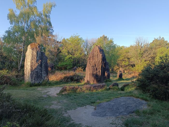 Quand les pierres nous parlent, Site des Menhirs de Monteneuf, Monteneuf