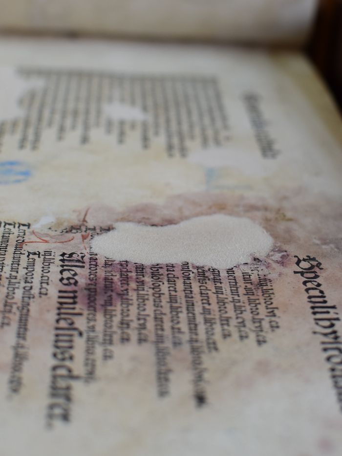 Qui veut la peau des livres anciens ? Menaces naturelles en bibliothèque, Bibliothèque des Quatre Piliers, Bourges