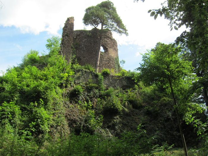 Randonnée au Château du Schwartzenbourg avec le Club Vosgien, Gare de Munster, Munster