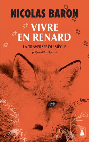 Rencontre avec Nicolas Baron, Médiathèque de Saint-Marc, Brest