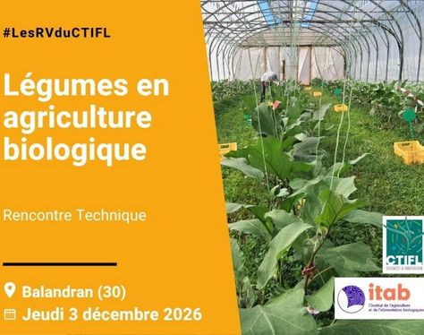 Rencontre technique légumes en agriculture biologique 2026, CTIFL – 751 Chemin de Balandran – Bellegarde (30), Bellegarde
