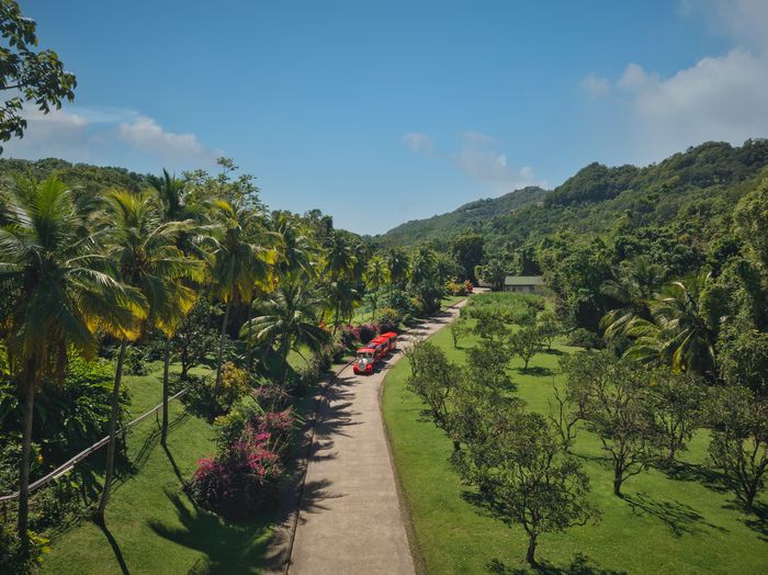 Rivière-Pilote / Visite Contée en « ti train » de la distillerie Maison La Mauny avec l&rsquo;Association Martinique Images, Distillerie Maison La Mauny, Rivière-Pilote