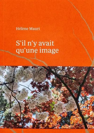 S’il n’y avait qu’une image, Hôpital Raymond Poincaré, Garches
