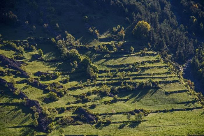 Sortie à la découverte des murets en pierres sèches, Iscle de Réallon, Réallon