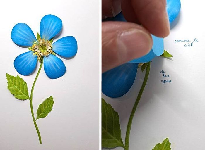 Sous les jupes des fleurs avec Fanny Pageaud, Médiathèque José Cabanis, Toulouse
