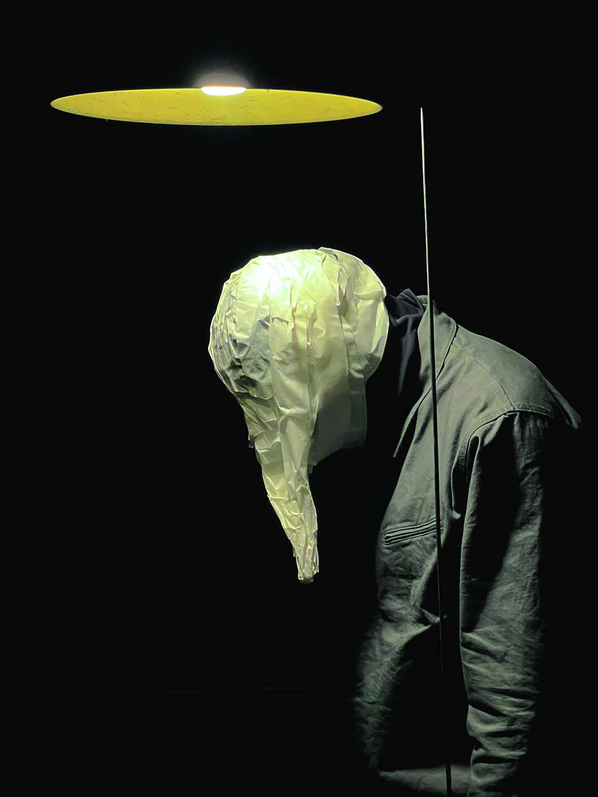 Spectacle Insula 1