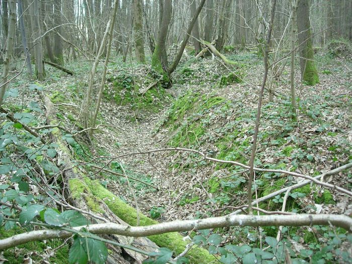 Sur les traces de la Grande Guerre en Forêt régionale de Montgé, Parking du Haras du Sauvoy, Saint-Soupplets