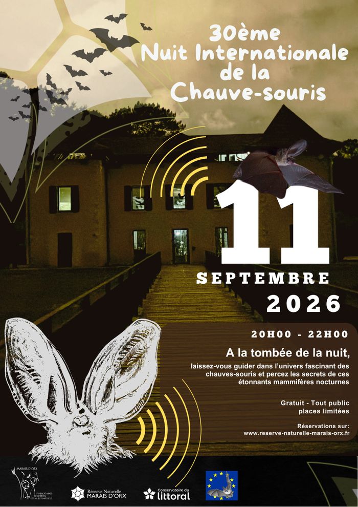 Sur les traces des chauves-souris, Réserve Naturelle du Marais d&rsquo;Orx, Labenne