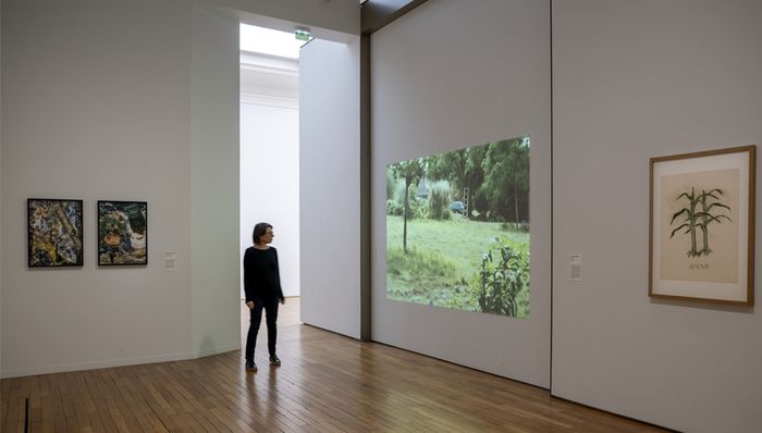 Tête-à-tête avec l’artiste Marie Denis, Musée d’arts de Nantes, Nantes