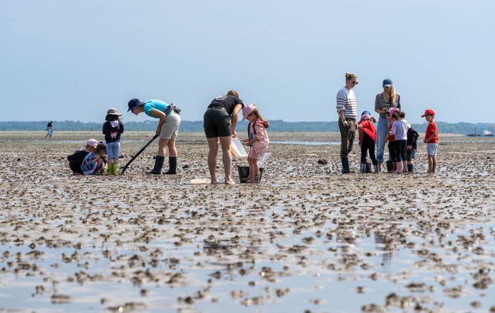 Tous à la vase !, Maison de la Nature du Bassin d&rsquo;Arcachon, Le Teich