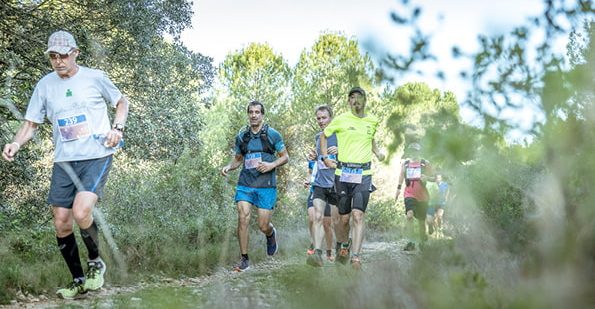 Trail des Vendanges  Teyran