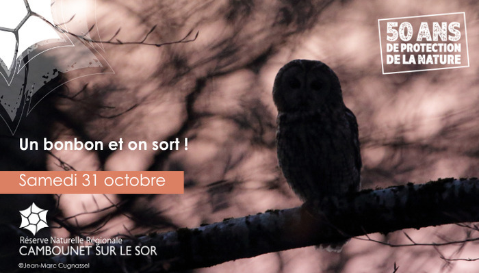 Un bonbon et on sort, RNR Cambounet-sur-le-Sor, Cambounet-sur-le-Sor