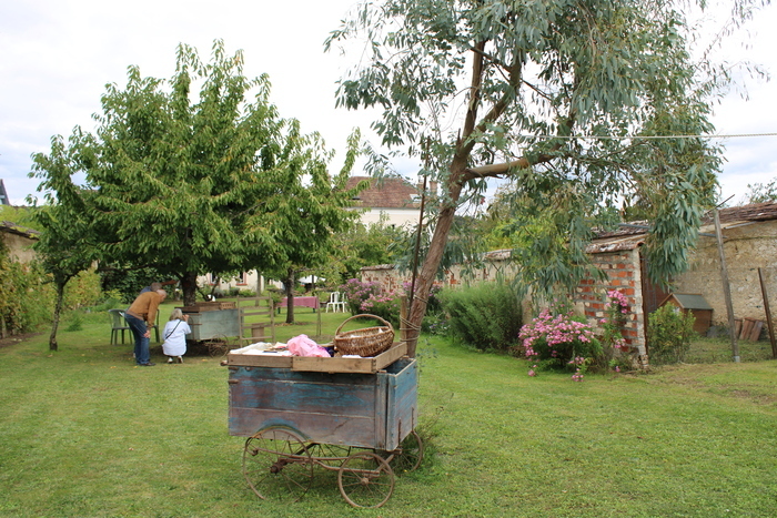 Un jardin thomeryon, entre raisin et fruits, Chemin des Longs Sillons, Thomery