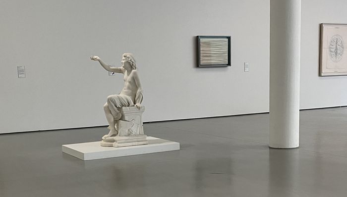 Un nouvel accrochage du Cube : Atome et Anatomie Musée d’arts de Nantes Nantes