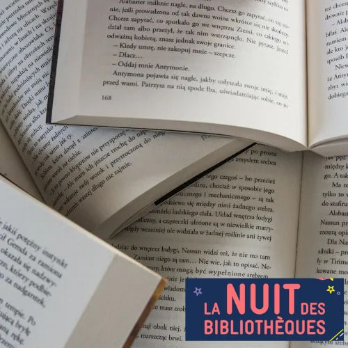 Vente de livres, Bibliothèque François Mitterrand d’Ambarès-et-Lagrave, Ambarès-et-Lagrave