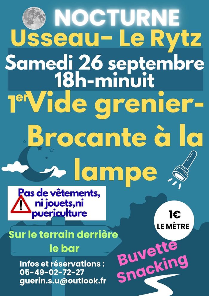 Vide grenier brocante à la lampe Le Rytz Usseau