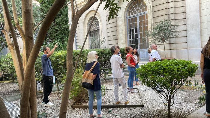 Visite accompagnée de l’ancien évêché, Ancien évêché, Montpellier