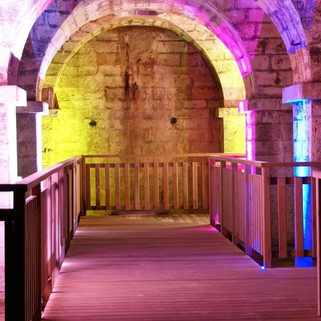 Visite commentée de la crypte du Bayaà, La crypte du Bayaà, Salies-de-Béarn
