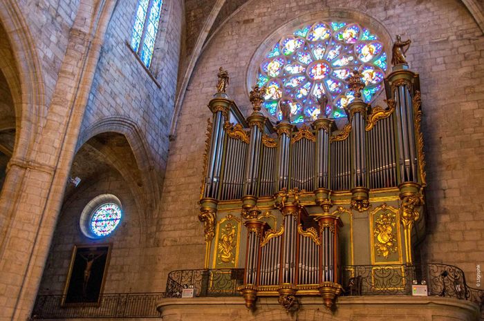 Visite commentée de l’orgue de la cathédrale Saint-Fulcran, Cathédrale Saint-Fulcran, Lodève
