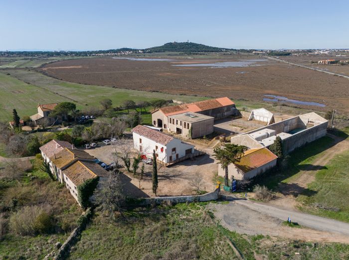 Visite commentée du Grand Clavelet, Réserve naturelle nationale du Bagnas, Agde