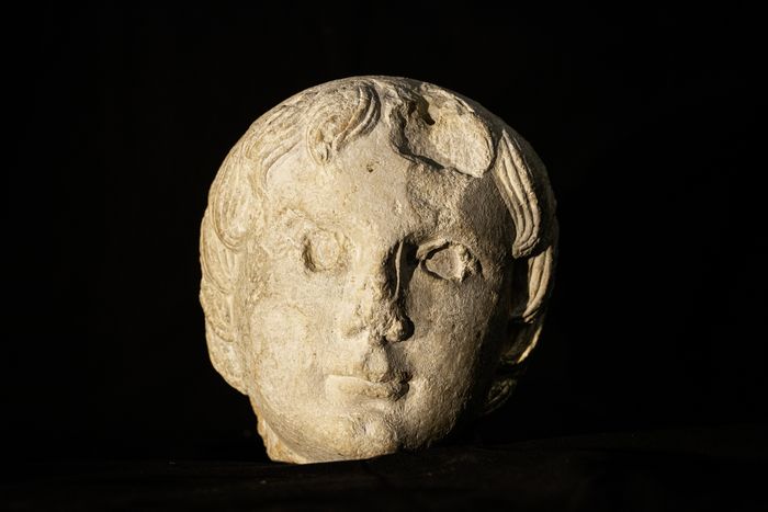 Visite commentée du musée et du site archéologique, Musée archéologique de Vienne-en-Val, Vienne-en-Val