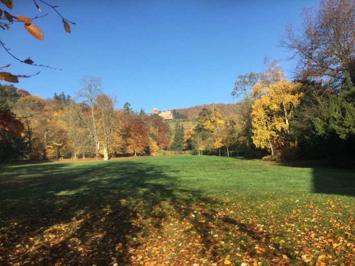 Visite commentée du parc du manoir de Kintzheim, Château de Kintzheim, Kintzheim