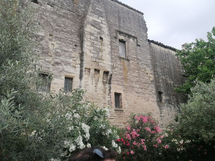 Visite commentée : histoire du palais de la Thurroye, Palais de la Thurroye, Villeneuve-lès-Avignon