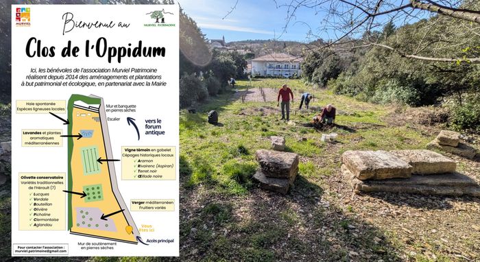 Visite commentée : inauguration du clos de l’Oppidum, Siite archéologique du Castellas, Chemin du Castellas, 34570 Murviel-lès-Montpellier, Murviel-lès-Montpellier