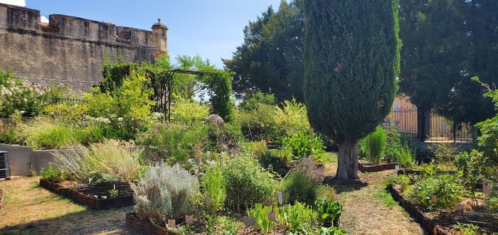 Visite commentée : jardin résiliant et adaptation au changement climatique, Jardin ethnobotanique et d’acclimatation « Les terrasses du Bosquet », Alès