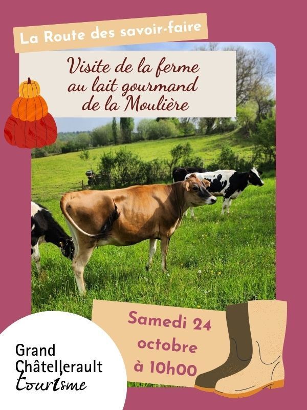 Visite de ferme Lait gourmand de le Moulière Lait Gourmand de la Moulière Bonneuil-Matours