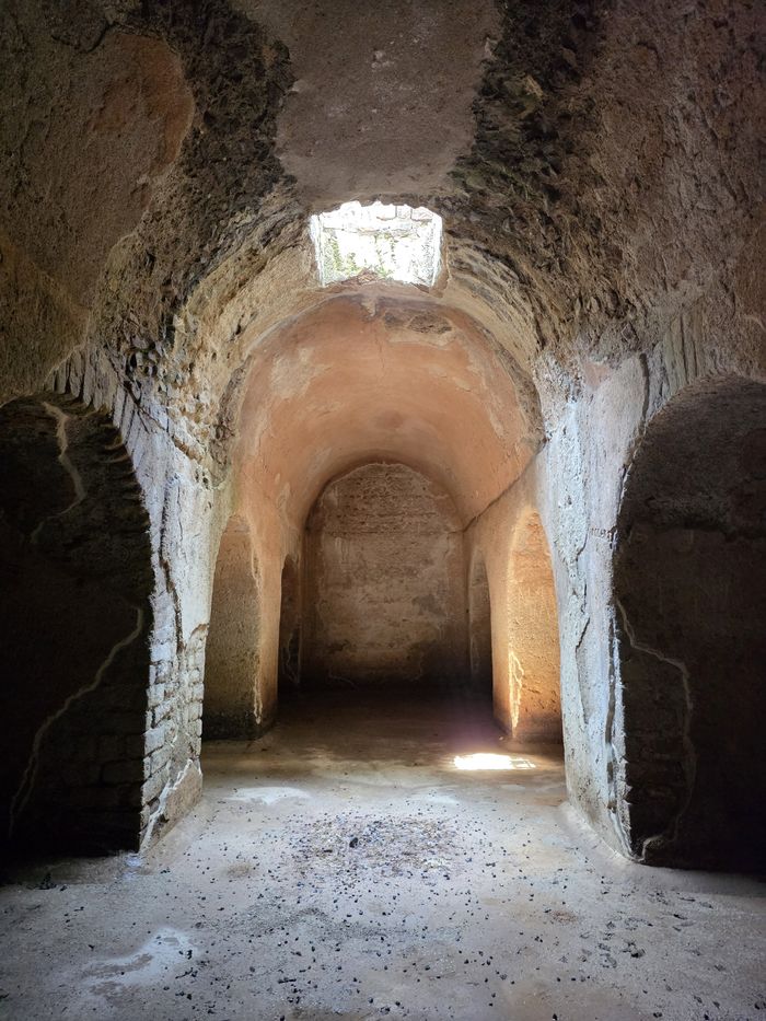 Visite de la Plate-Forme romaine, Parc et Site archéologique de la Plate-Forme romaine, Fréjus