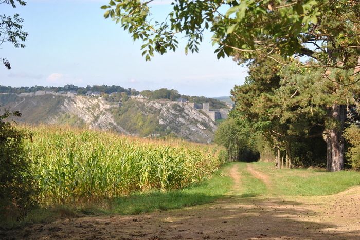 Visite de la Tour Grégoire et du Mont d’Haurs, Départ square Albert 1er, Givet