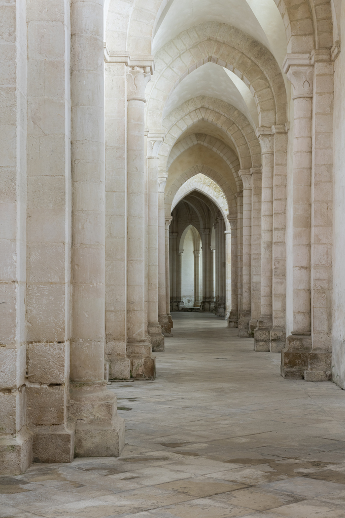 Visite de l&rsquo;abbaye de Pontigny, Abbaye de Pontigny, Pontigny