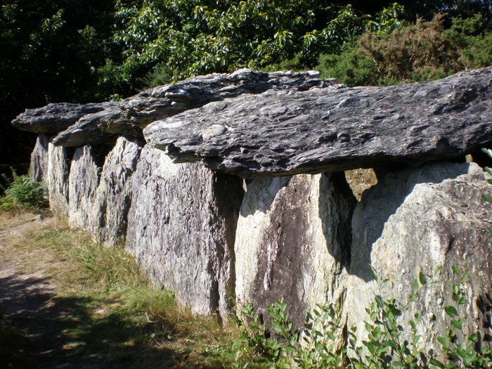 Visite de l’allée couverte de Tréal, Maison Mégalithes et Landes, Saint-Just