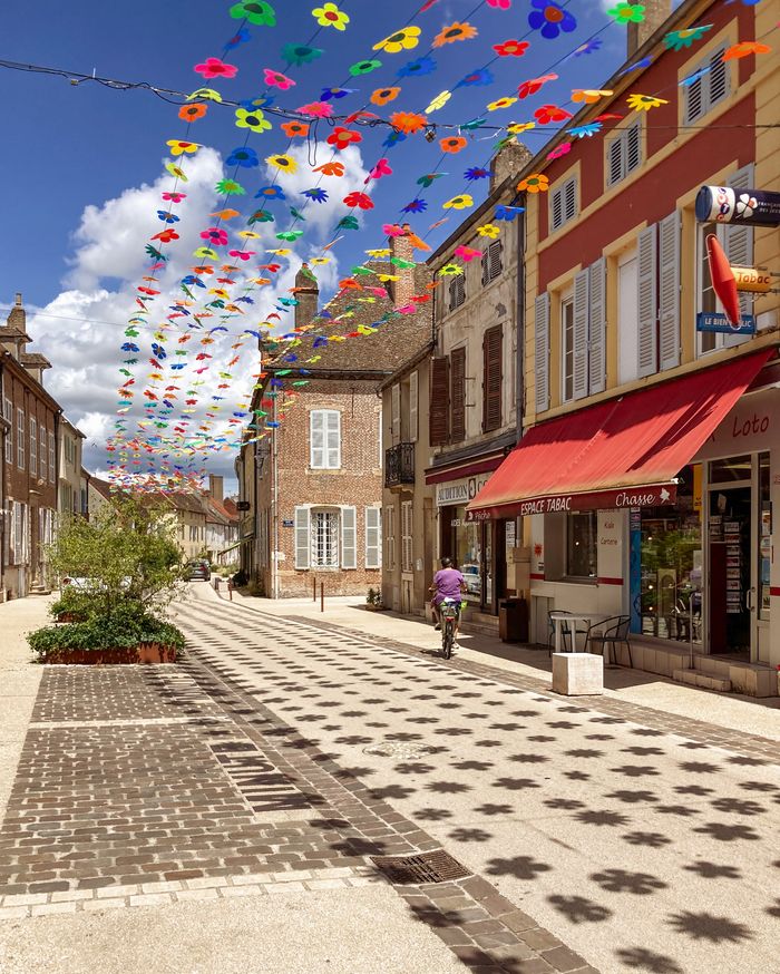 Visite de Seurre, office de tourisme et capitainerie de Seurre, Seurre