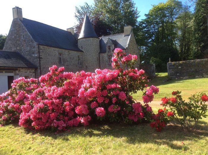 Visite des extérieurs et des jardins – Manoir Le Lézard, Manoir Le Lézard, Bourbriac