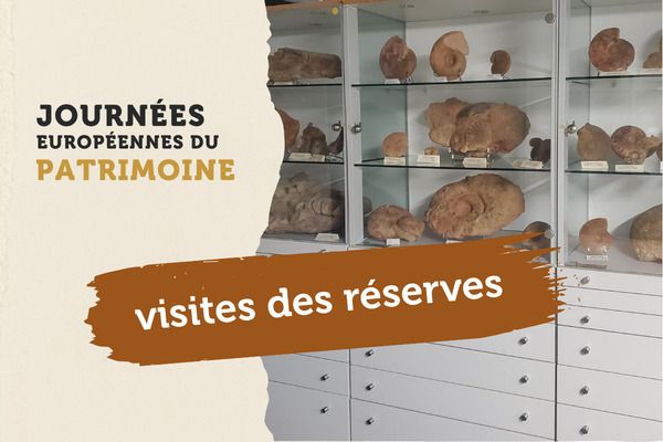 Visite des réserves de Fossilea, Fossilea, Saint-Jean-des-Vignes