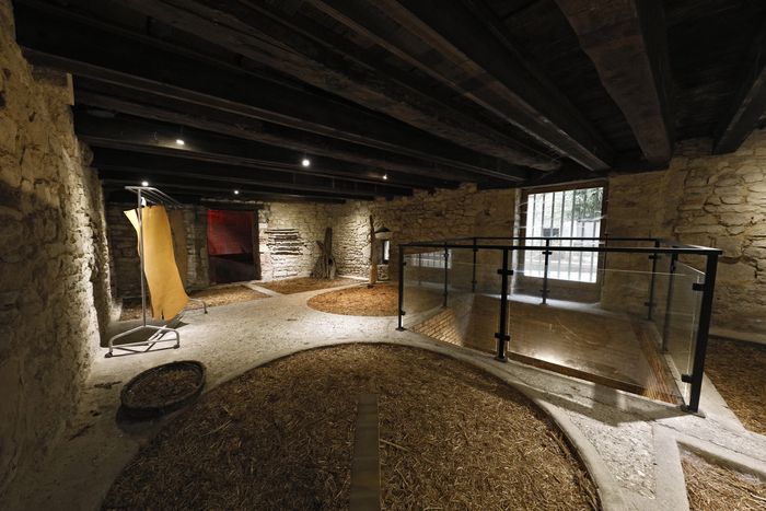 Visite des tanneries, Musée-maison natale de Pasteur, Dole