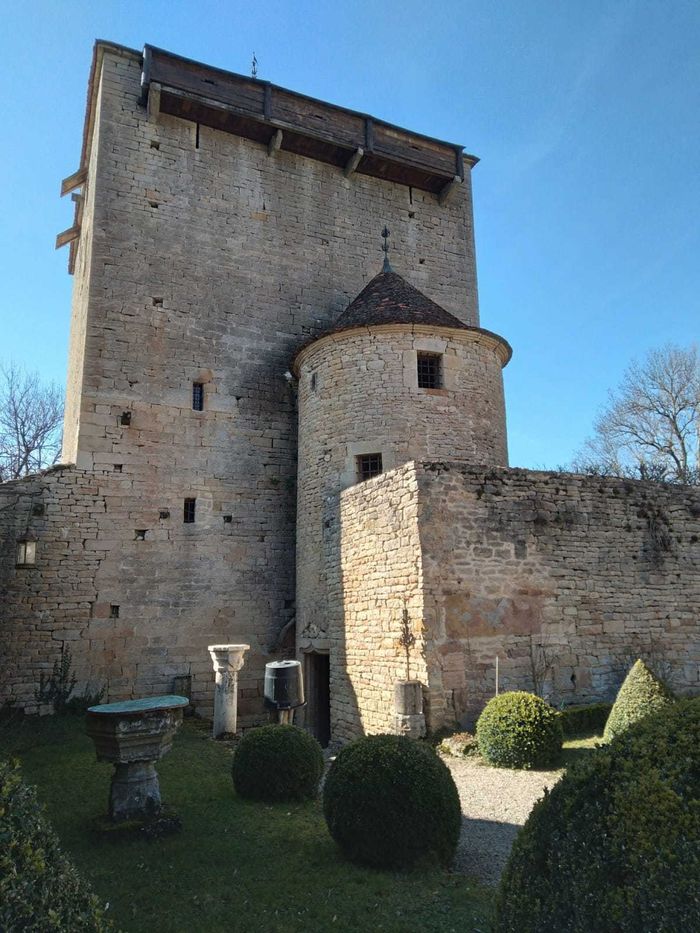 Visite du château de Soussey-sur-Brionne, Château de Soussey-sur-Brionne, Soussey-sur-Brionne