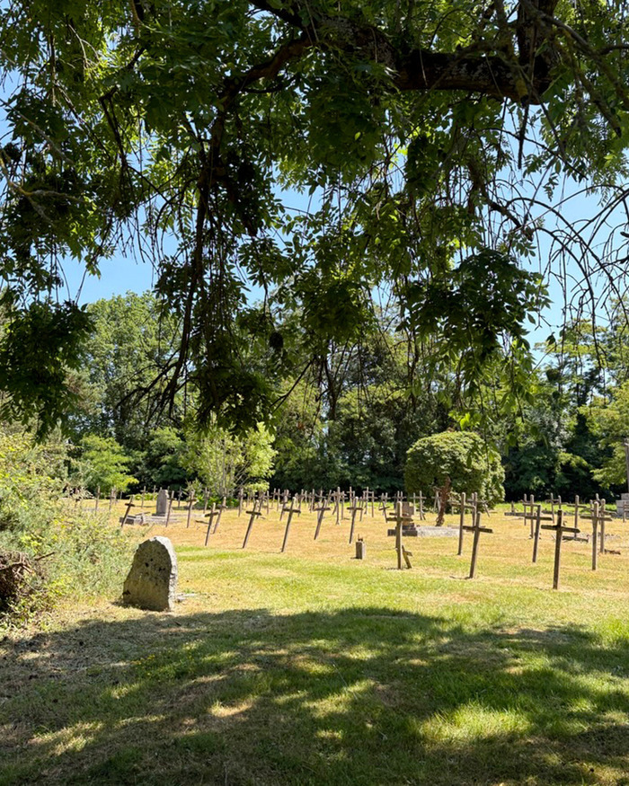 Visite du cimetière historique de l&rsquo;établissement de psychiatrie – Mayenne, CHNM site La Plaine, Mayenne