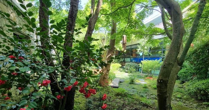 Visite du jardin japonais de Magny-le-Hongre, Jardin japonais – École les Semailles, Magny-le-Hongre